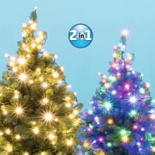 LED 202R/WW/M