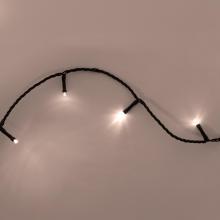 LED248WW