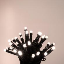 LED248WW