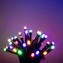 LED248M